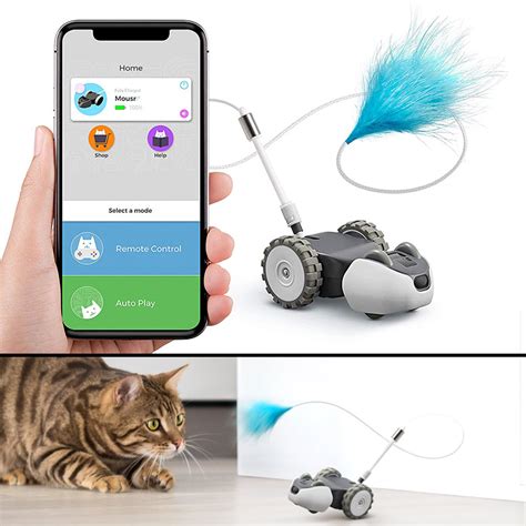 How the Wired Mavic Mousr Stimulates Your Cat's Mind and Body
